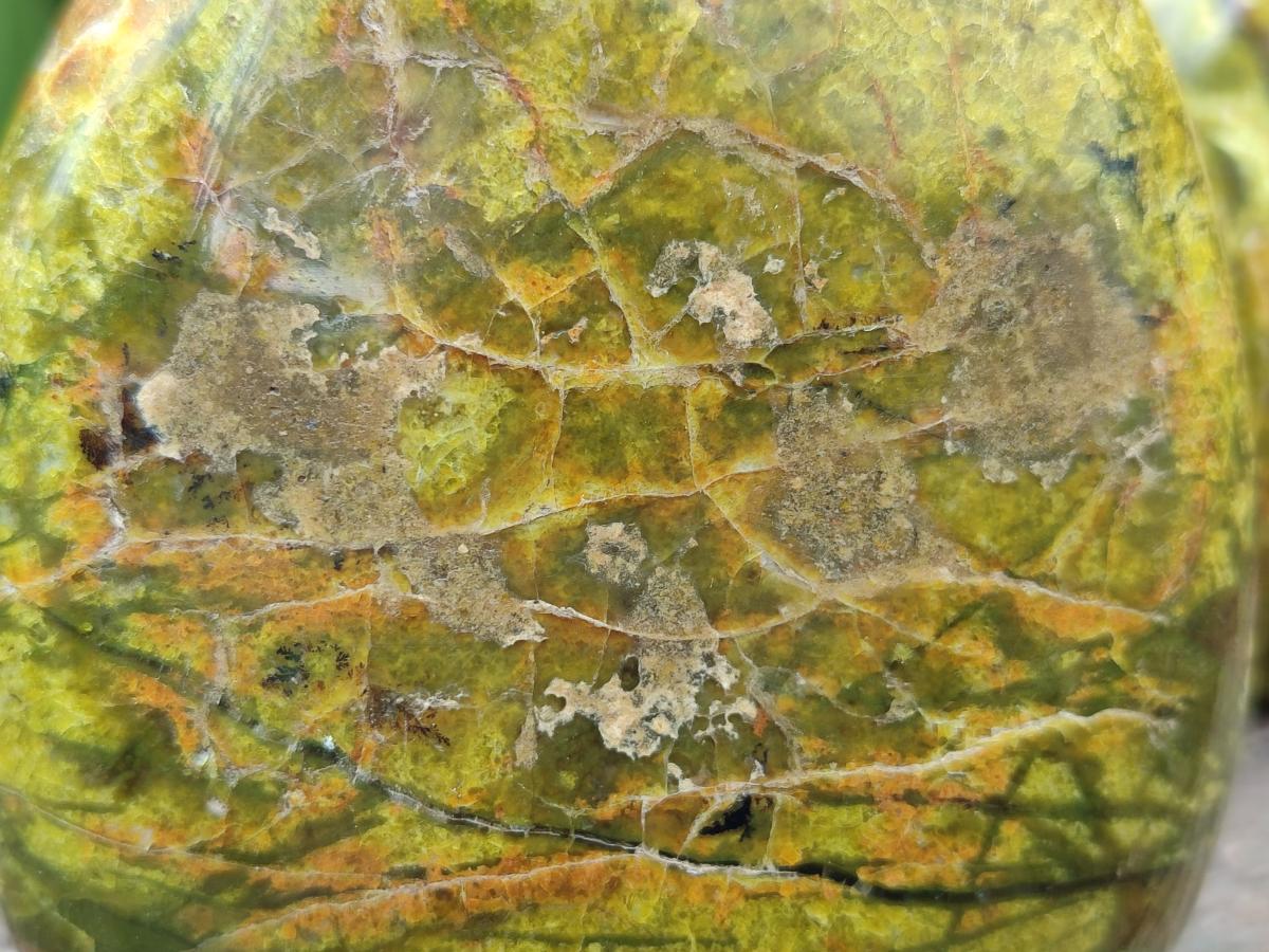 Polished Green Opal Standing Free Forms x 3 From Betroka, Madagascar