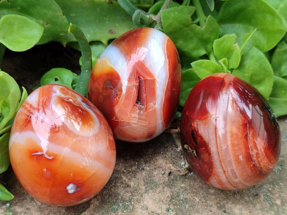 Polished Carnelian Agate Gemstone Eggs x 12 From Madagascar
