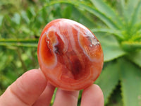 Polished Carnelian Agate Gemstone Eggs x 12 From Madagascar