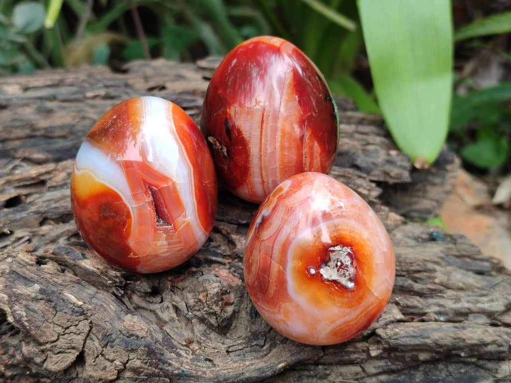 Polished Carnelian Agate Gemstone Eggs x 12 From Madagascar