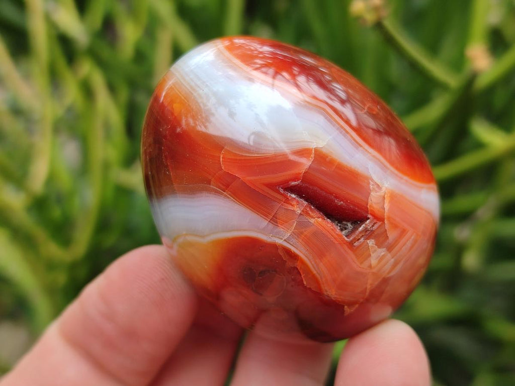 Polished Carnelian Agate Gemstone Eggs x 12 From Madagascar