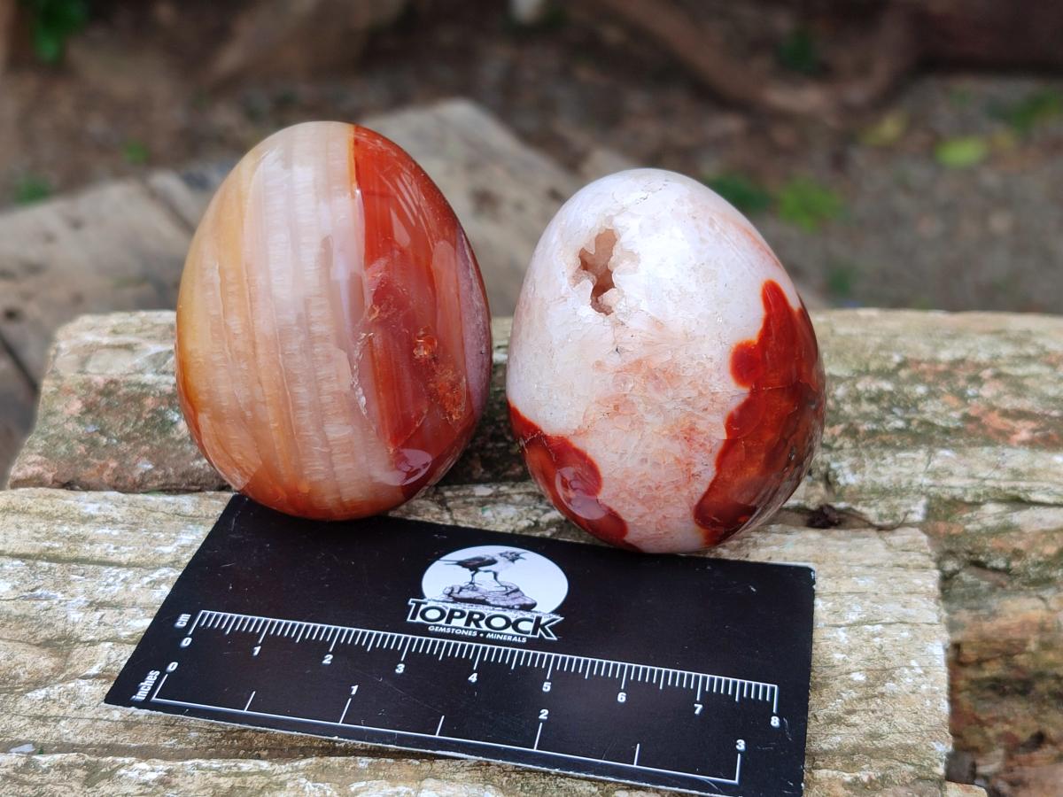 Polished Carnelian Agate Gemstone Eggs x 12 From Madagascar