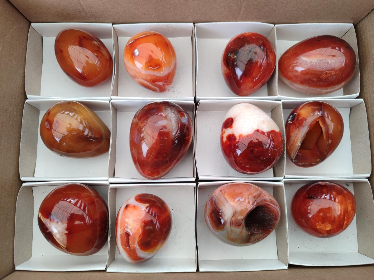 Polished Carnelian Agate Gemstone Eggs x 12 From Madagascar