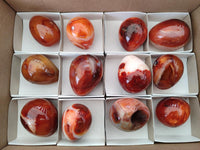 Polished Carnelian Agate Gemstone Eggs x 12 From Madagascar