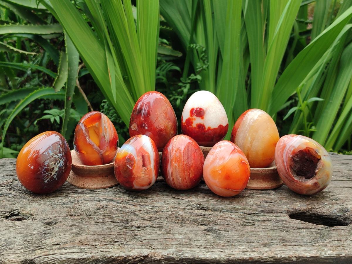 Polished Carnelian Agate Gemstone Eggs x 12 From Madagascar