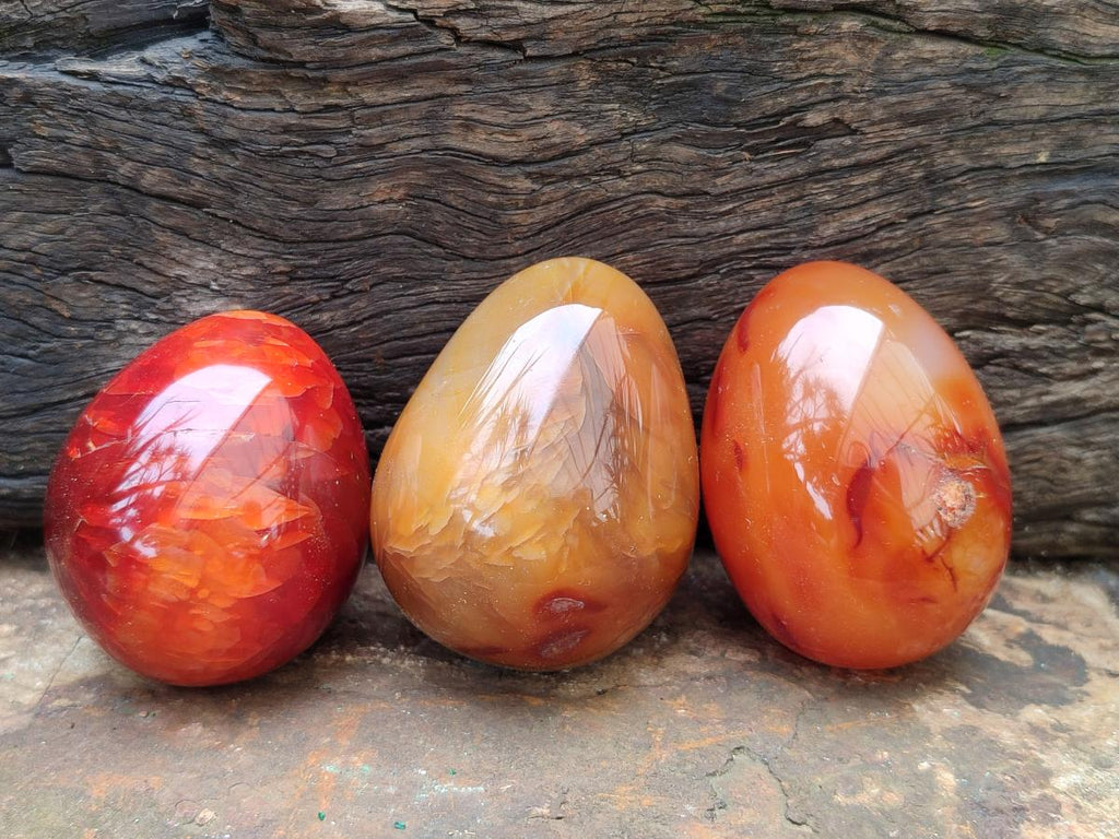 Polished Carnelian Agate Gemstone Eggs x 12 From Madagascar
