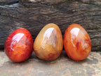 Polished Carnelian Agate Gemstone Eggs x 12 From Madagascar