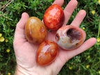 Polished Carnelian Agate Gemstone Eggs x 12 From Madagascar