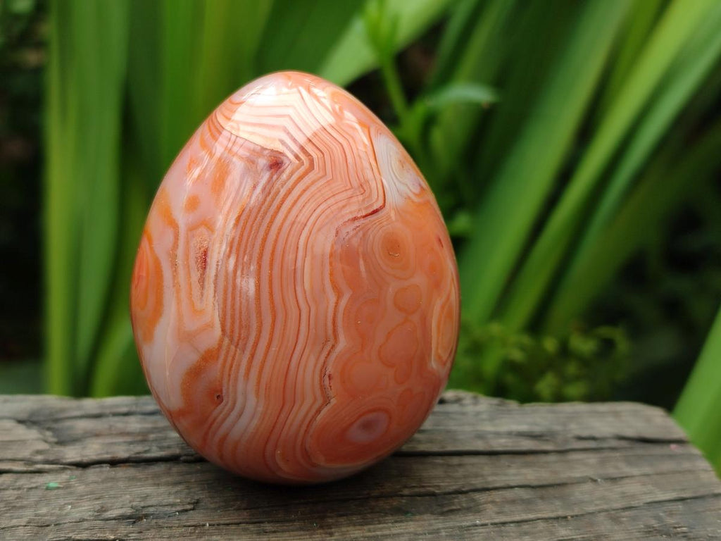 Polished Carnelian Agate Gemstone Eggs x 12 From Madagascar