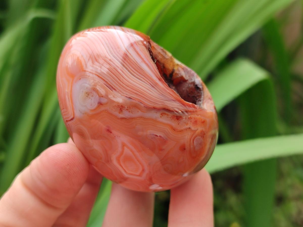 Polished Carnelian Agate Gemstone Eggs x 12 From Madagascar