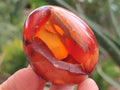 Polished Carnelian Agate Gemstone Eggs x 12 From Madagascar