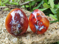 Polished Carnelian Agate Gemstone Eggs x 12 From Madagascar