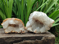 Natural Zululand Agate Geodes with Quartz Crystal Centres x 2 From Jozini, KwaZulu-Natal, South Africa