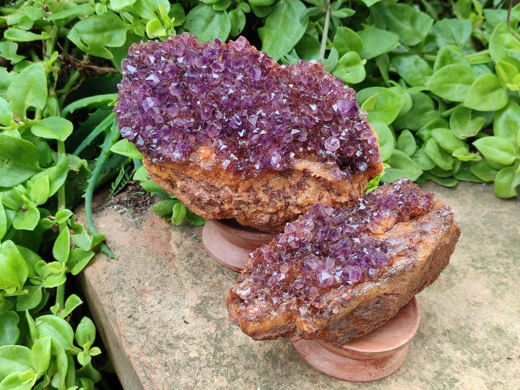 Natural Dark Purple Amethyst Quartz Crystal Plates x 5 From Boekenhouthoek, South Africa