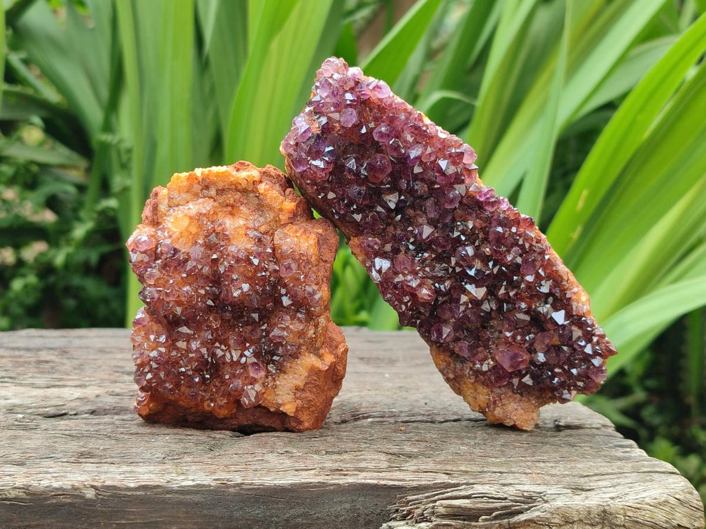 Natural Dark Purple Amethyst Quartz Crystal Plates x 5 From Boekenhouthoek, South Africa