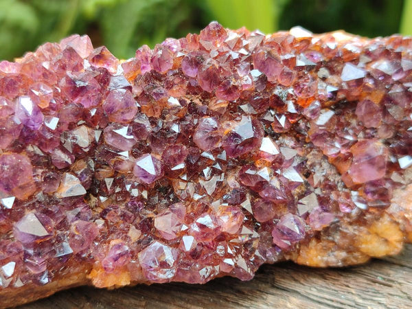Natural Dark Purple Amethyst Quartz Crystal Plates x 5 From Boekenhouthoek, South Africa