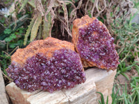 Natural Dark Purple Amethyst Quartz Crystal Plates x 5 From Boekenhouthoek, South Africa