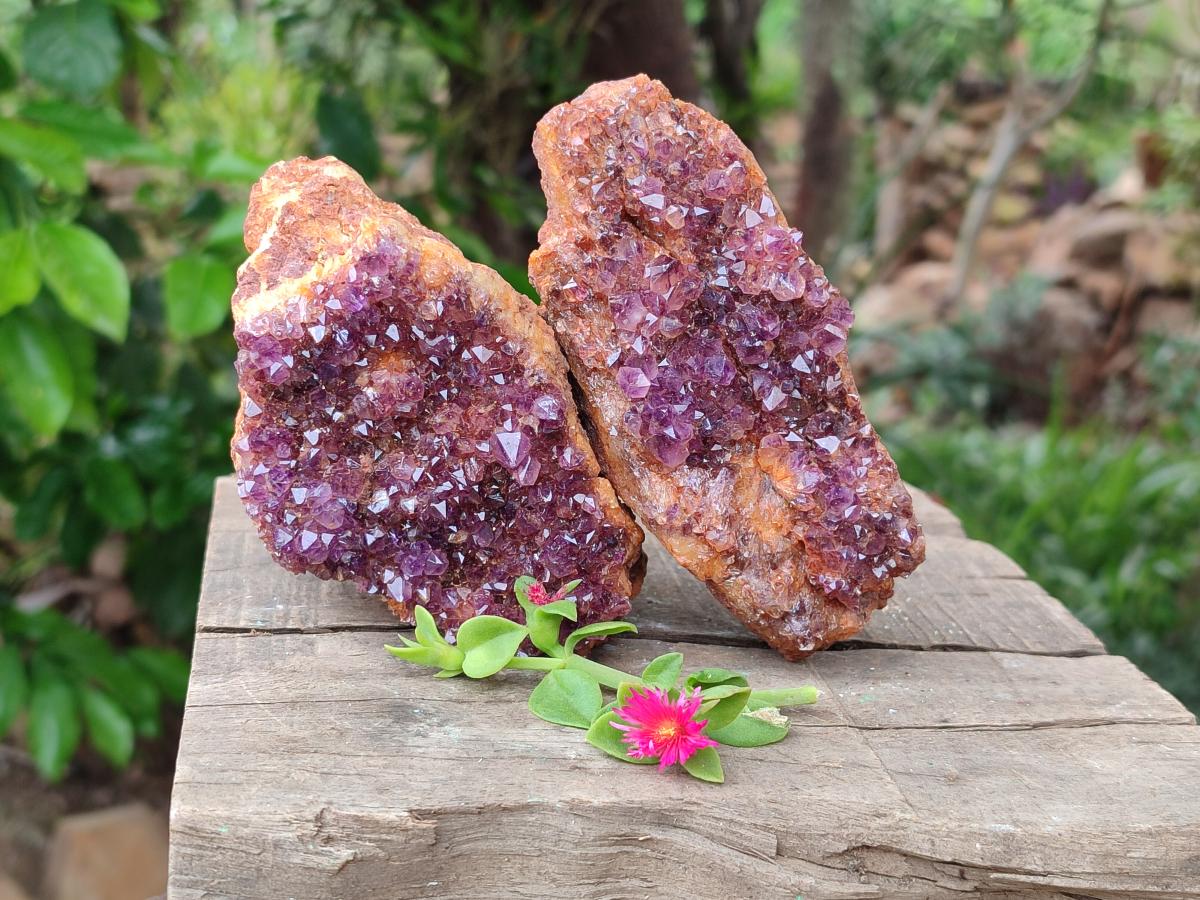 Natural Dark Purple Amethyst Quartz Crystal Plates x 5 From Boekenhouthoek, South Africa