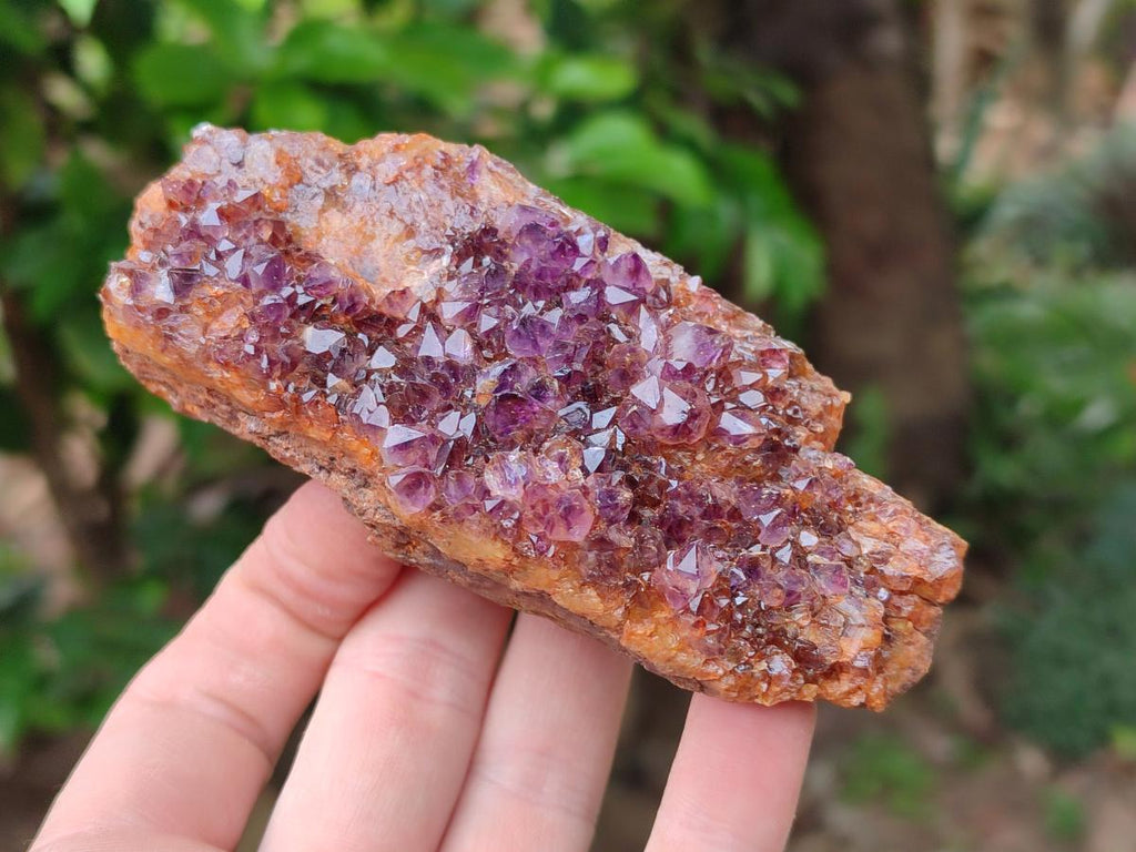 Natural Dark Purple Amethyst Quartz Crystal Plates x 5 From Boekenhouthoek, South Africa