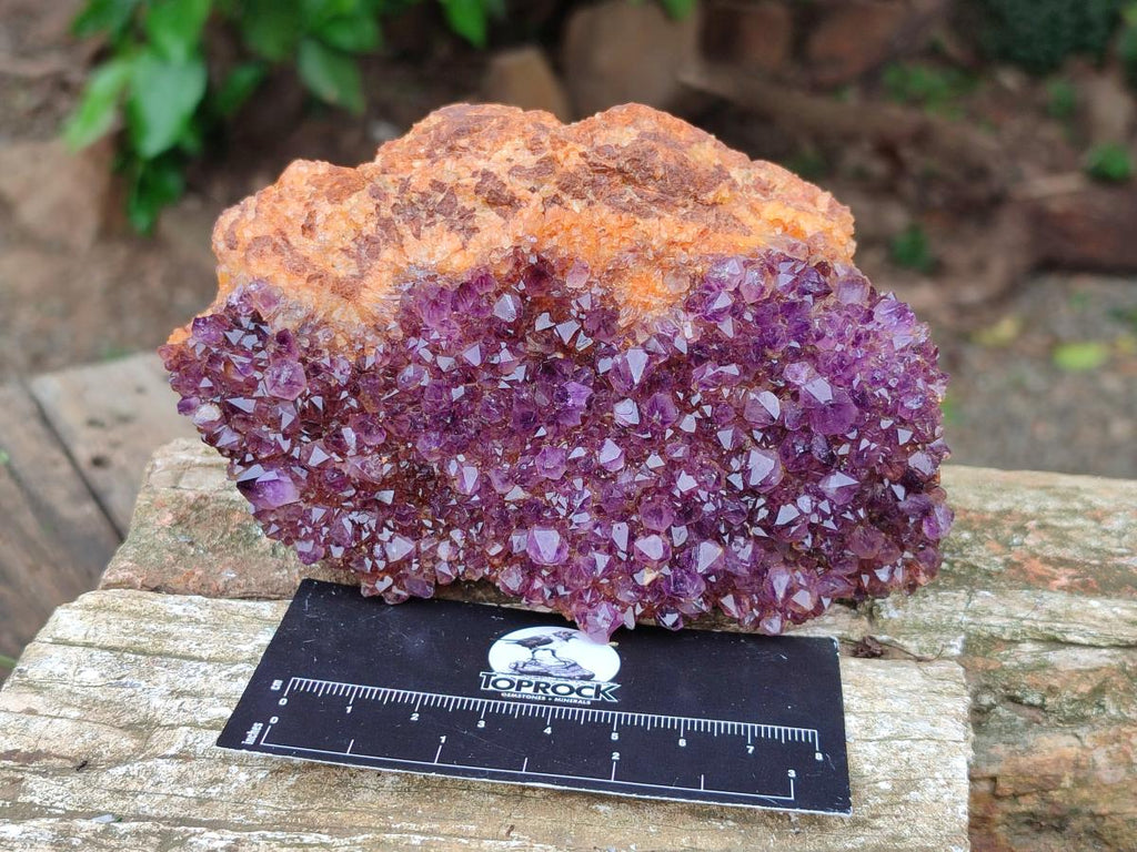 Natural Dark Purple Amethyst Quartz Crystal Plates x 5 From Boekenhouthoek, South Africa
