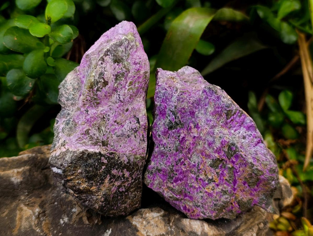 Natural Stichtite Cobbed Specimens x 12 From Barberton, South Africa