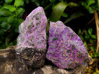 Natural Stichtite Cobbed Specimens x 12 From Barberton, South Africa