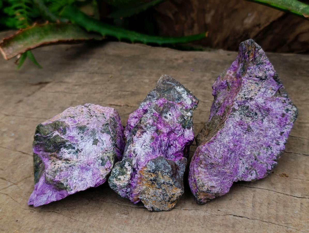 Natural Stichtite Cobbed Specimens x 12 From Barberton, South Africa
