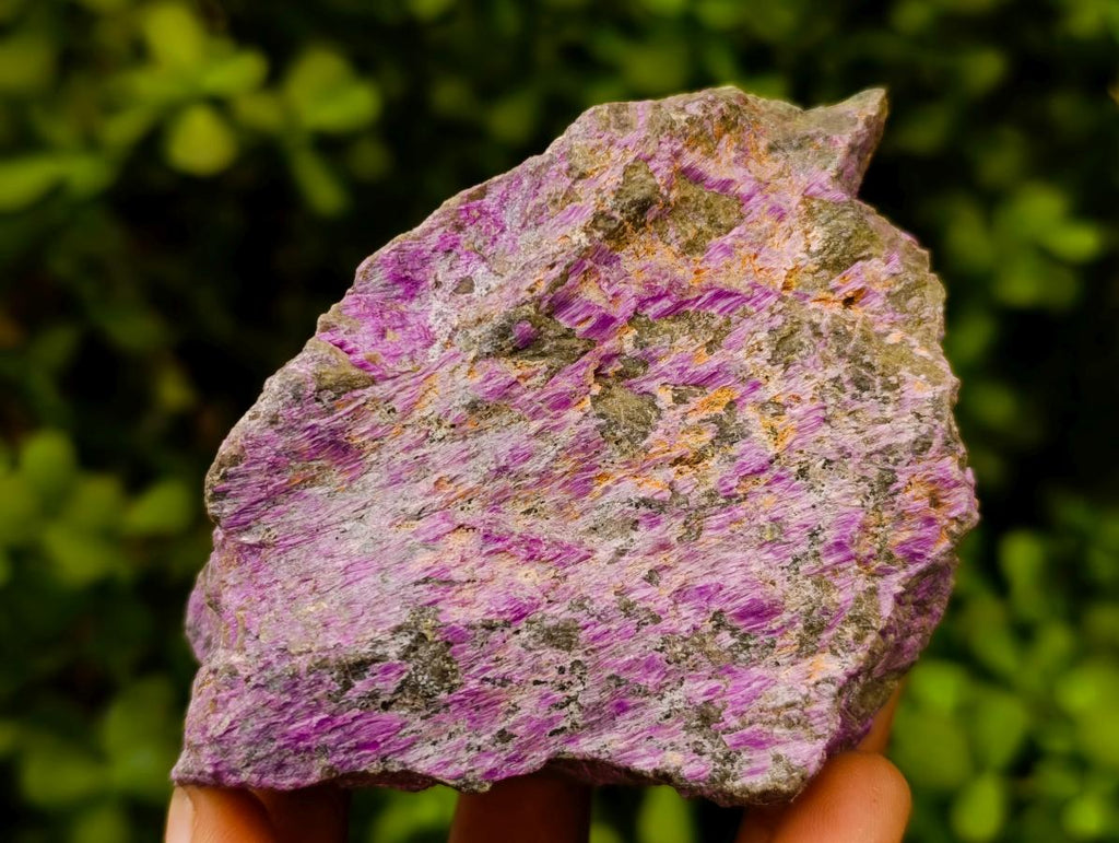 Natural Stichtite Cobbed Specimens x 12 From Barberton, South Africa