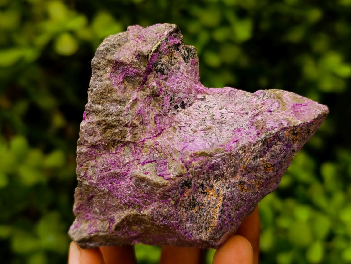 Natural Stichtite Cobbed Specimens x 12 From Barberton, South Africa