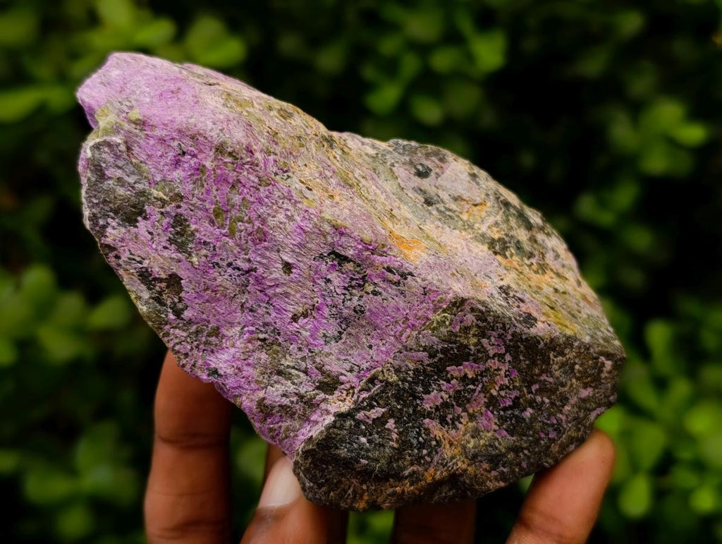 Natural Stichtite Cobbed Specimens x 12 From Barberton, South Africa