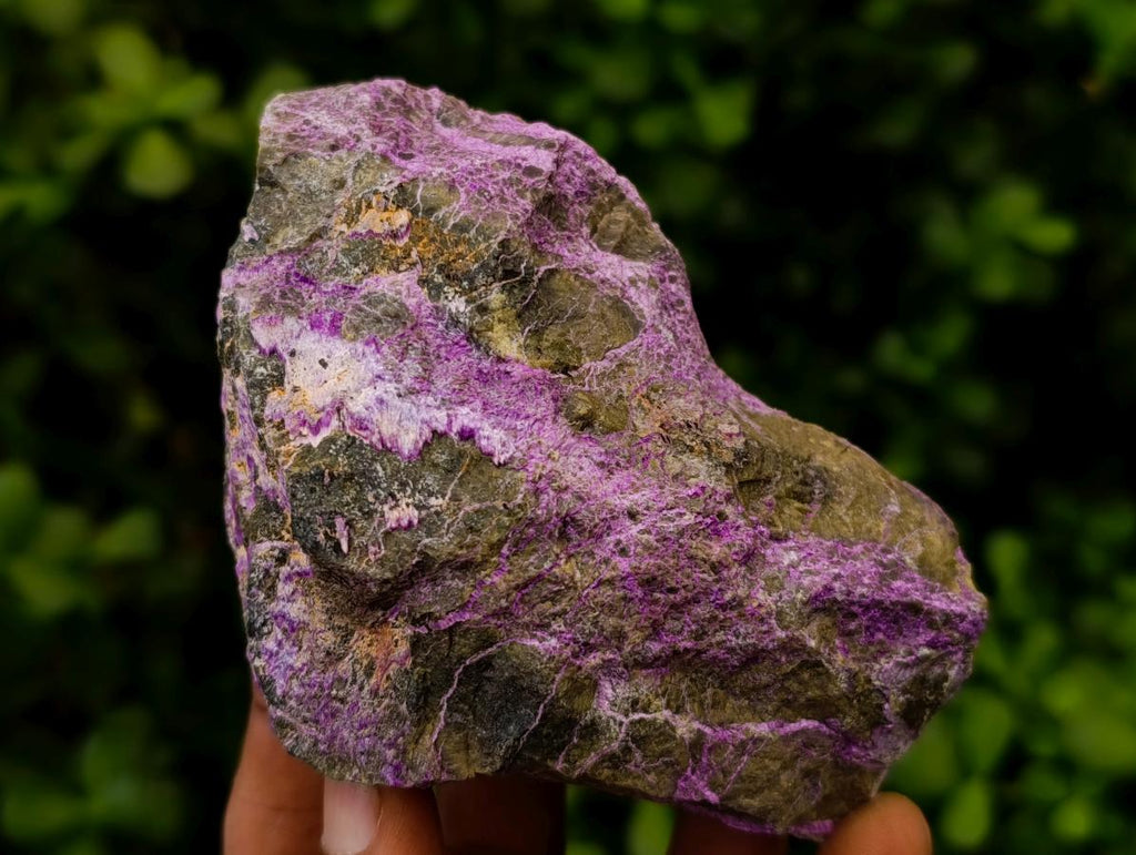 Natural Stichtite Cobbed Specimens x 12 From Barberton, South Africa