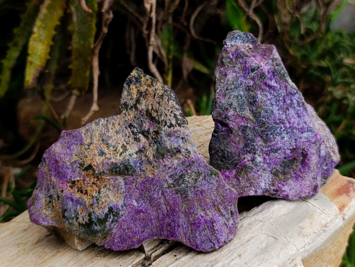 Natural Stichtite Cobbed Specimens x 12 From Barberton, South Africa