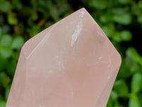 Polished Rose Quartz Crystals x 2 From Madagascar