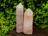 Polished Rose Quartz Crystals x 2 From Madagascar