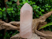 Polished Rose Quartz Crystals x 2 From Madagascar