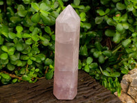 Polished Rose Quartz Crystals x 2 From Madagascar