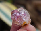 Natural Window Amethyst Crystals x 0.97 Kg Lot From Chiredzi, Zimbabwe