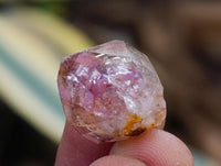 Natural Window Amethyst Crystals x 0.97 Kg Lot From Chiredzi, Zimbabwe