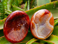Polished Carnelian Agate Gemstone Bowls x 6 From Madagascar