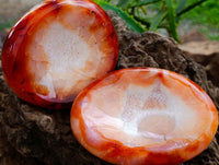 Polished Carnelian Agate Gemstone Bowls x 6 From Madagascar