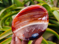 Polished Carnelian Agate Gemstone Bowls x 6 From Madagascar