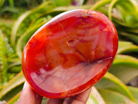 Polished Carnelian Agate Gemstone Bowls x 6 From Madagascar