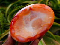 Polished Carnelian Agate Gemstone Bowls x 6 From Madagascar