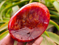 Polished Carnelian Agate Gemstone Bowls x 6 From Madagascar