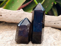 Polished Smokey Window Quartz Crystals x 6 From Madagascar