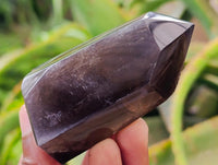 Polished Smokey Window Quartz Crystals x 6 From Madagascar