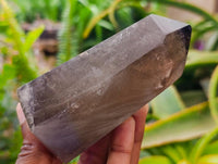 Polished Smokey Window Quartz Crystals x 6 From Madagascar