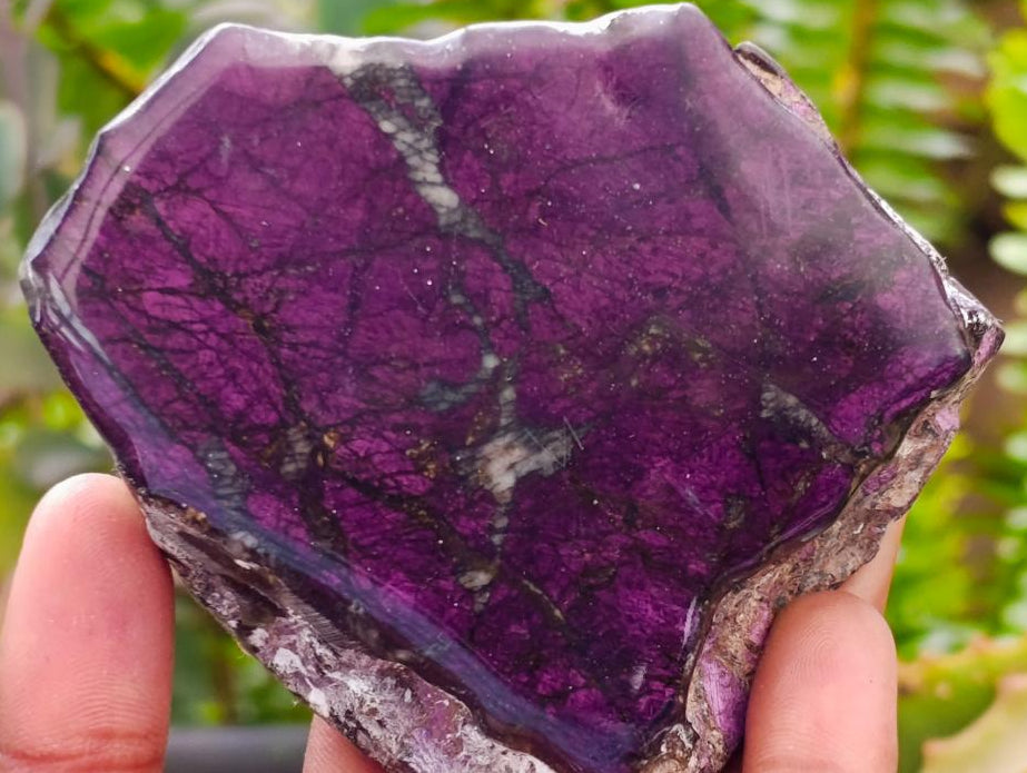 Polished Metallic Purpurite Slices x 4 From Erongo, Namibia