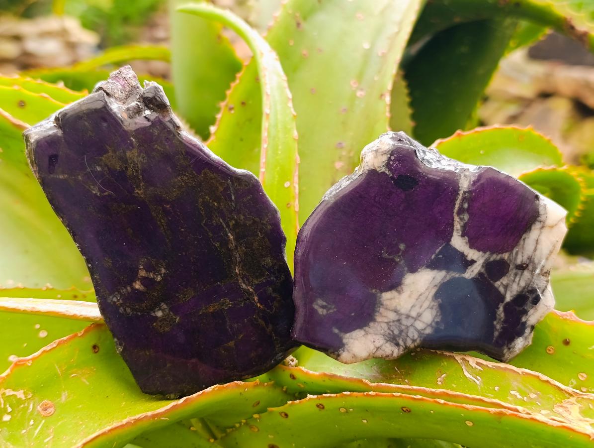 Polished Metallic Purpurite Slices x 4 From Erongo, Namibia