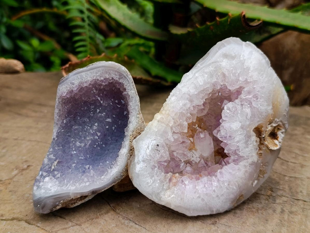 Polished Amethyst Agate Geodes x 6 From Maintirano, Madagascar